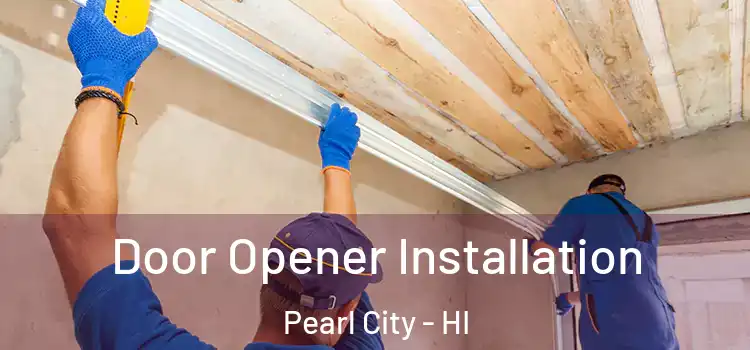 Door Opener Installation Pearl City - HI