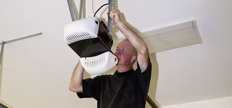 Garage Door Opener Service Pearl City
